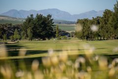 golf-course-stellenbosch-devonvale