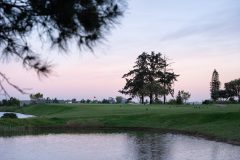 devonvale-golf-estate-web-21